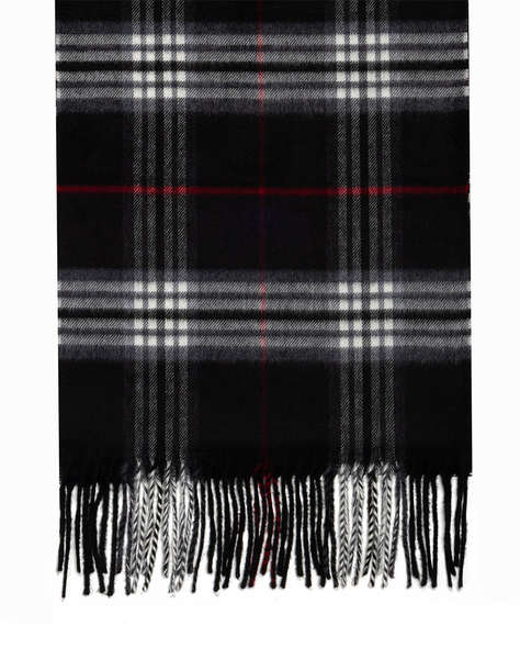 THE BOSTONIANS SCARF COPLEY