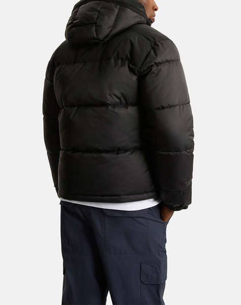 NAUTICA JACKET Metz Padded Jacket