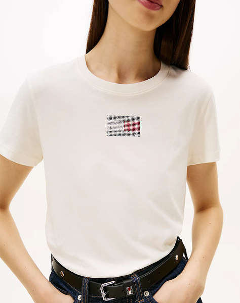 TOMMY JEANS TJW REG PARTY FLAG TEE EXT