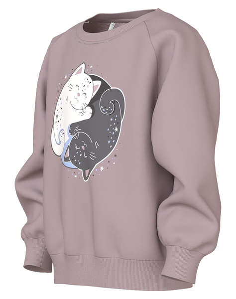 NAME IT NMFVENUS LS NREG SWEAT BRU