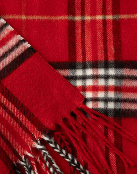 THE BOSTONIANS SCARF COPLEY