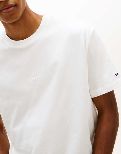 TOMMY JEANS TJM REG TONAL SIGNATURE TEE
