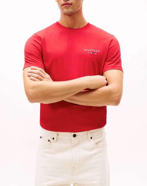 TOMMY HILFIGER BRAND LOVE SMALL HILFIGER TEE