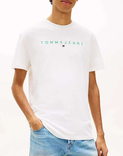TOMMY JEANS TJM REG LINEAR LOGO TEE EXT