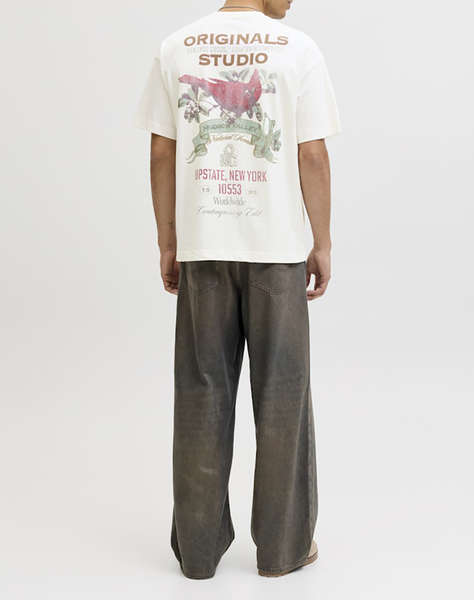 JACK&JONES JORUPSTATE GRAPHIC BACK TEE SS CN