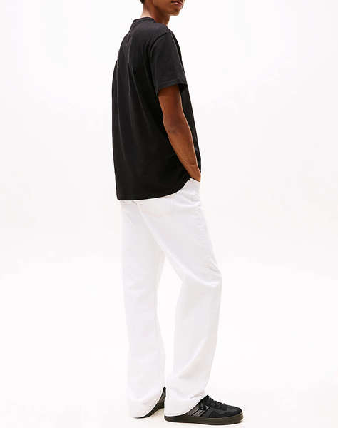 TOMMY JEANS TJM REG BADGE TEE EXT