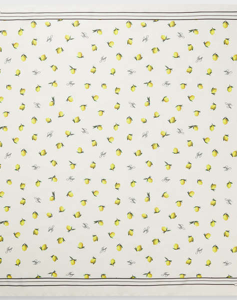 HUGO Auraize_90*90 10269413 01