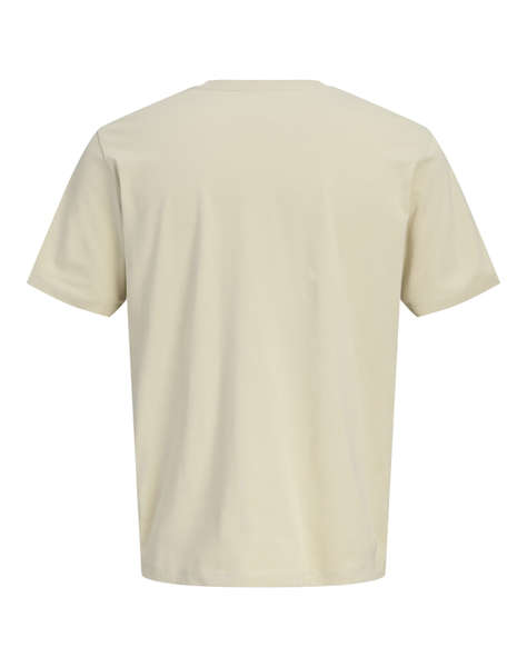 JACK&JONES JPRBLANEO SS TEE FST