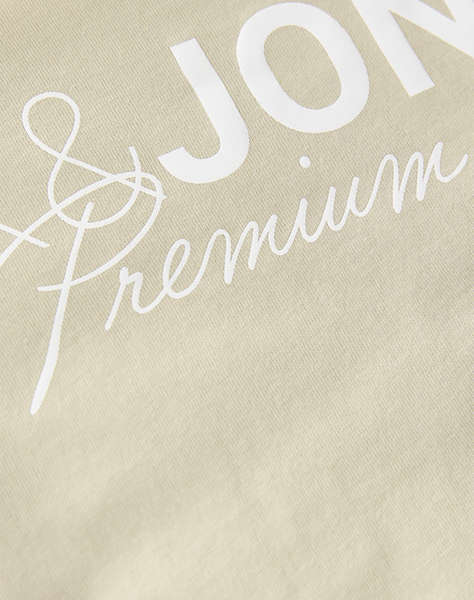 JACK&JONES JPRBLANEO SS TEE FST