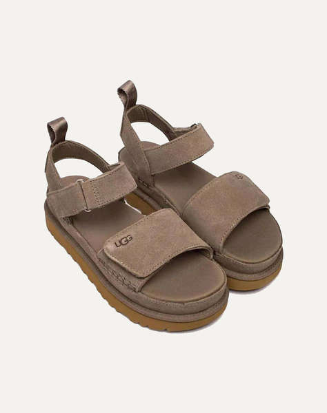 UGG 1136783 Goldenstar LOW UGG