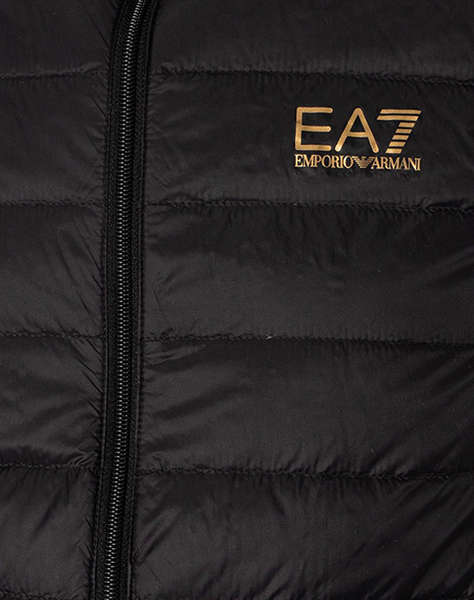 EA7 DOWN WAISTCOAT