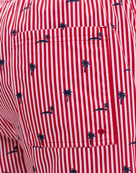 JACK&JONES JPSTMAUI BREEZE MINI STRIPE SWIM SRT SN