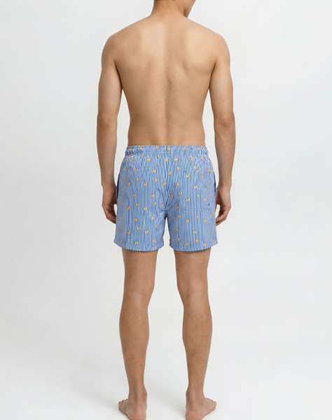 JACK&JONES JPSTMAUI BREEZE MINI STRIPE SWIM SRT SN