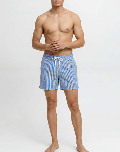 JACK&JONES JPSTMAUI BREEZE MINI STRIPE SWIM SRT SN