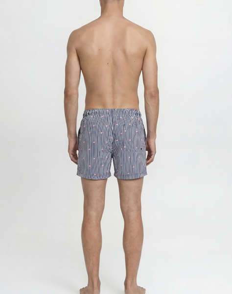 JACK&JONES JPSTMAUI BREEZE MINI STRIPE SWIM SRT SN