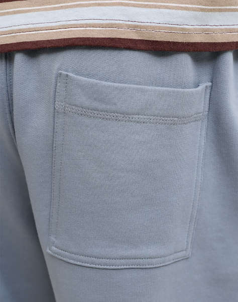 JACK&JONES JPSTKARL NORREBRO SWEAT SHORTS REG SN