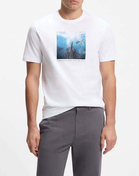 BOSS Te_Creature 10277382 01