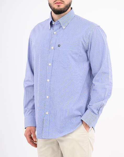 ASCOT SHIRT