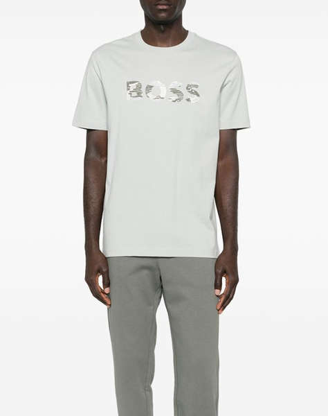 BOSS Te_Insignia 10276567 01
