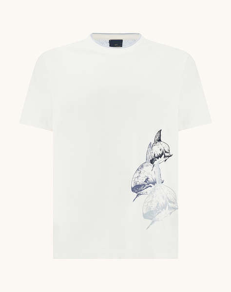 PAUL&SHARK T-Shirt