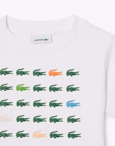 LACOSTE БЛУЗА ΚΜ TEE-SHIRT SS