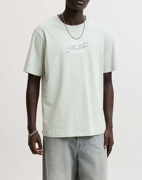 JACK&JONES JCOETERNA FRONT PRINT TEE SS CREW FST
