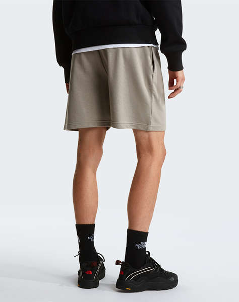 THE NORTH FACE M SD LT RG SHTS
