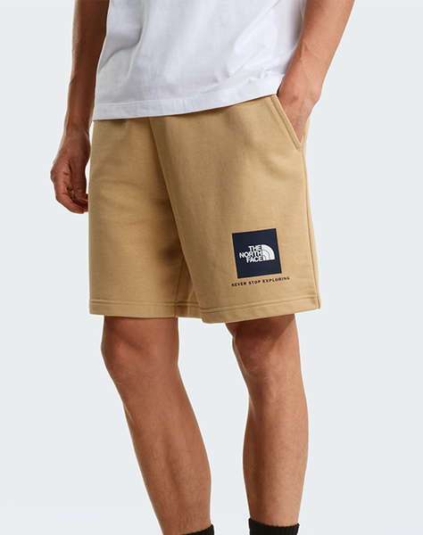THE NORTH FACE M BOX NSE LT RG
