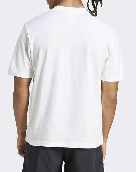 ADIDAS M SL SJ T