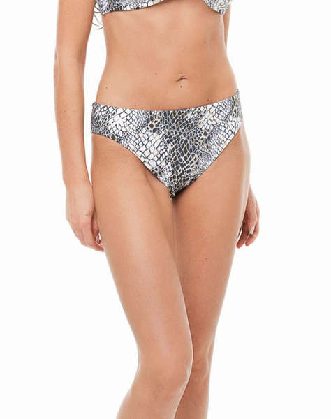 BLUEPOINT SHORTS