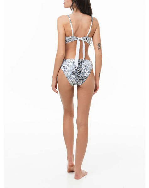 BLUEPOINT SHORTS