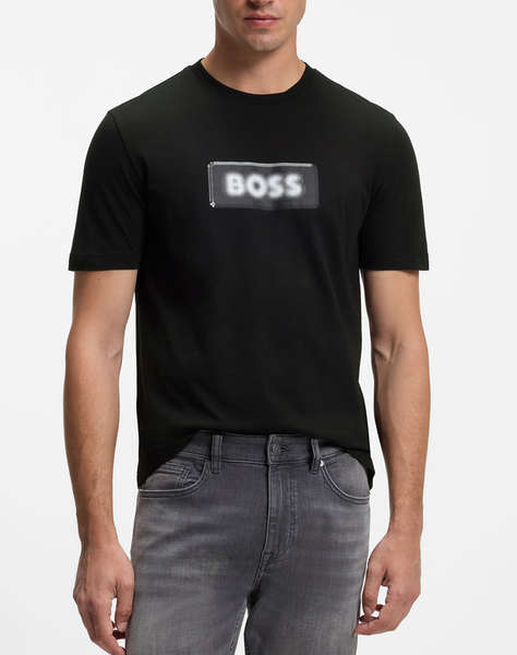 BOSS Te_Effect 10277382 01