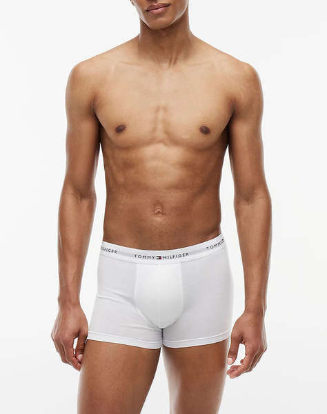 TOMMY HILFIGER 3P TRUNK