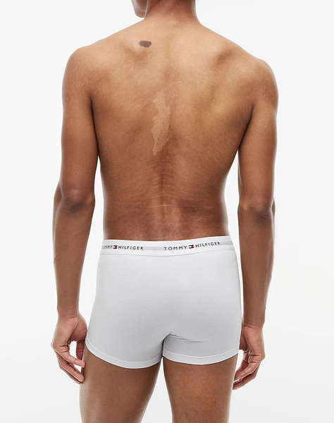TOMMY HILFIGER 3P TRUNK