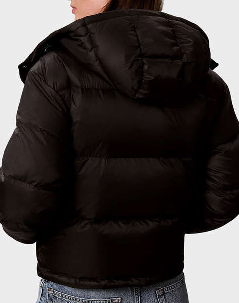 CALVIN KLEIN JEANS ESSENTIAL MW SHORT DOWN PUFFER