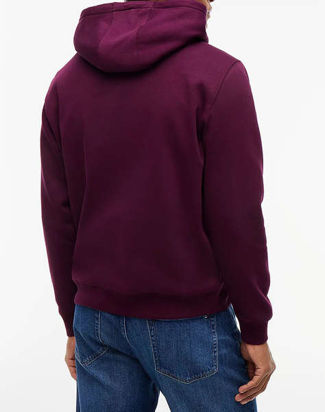 TOMMY JEANS TJM REG S FLAG HOODIE