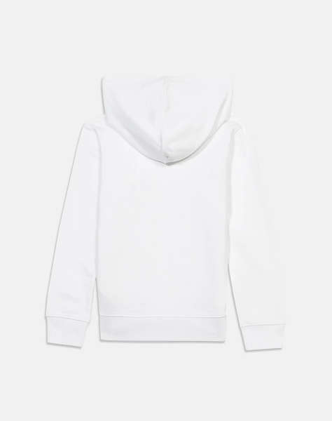 CALVIN KLEIN JEANS INST. LOGO REG. TERRY HOODIE