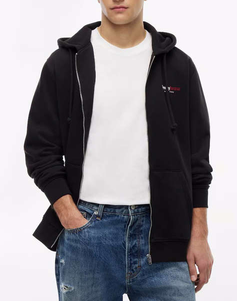 TOMMY JEANS TJM REG DNA BACKPRINT FZ HD