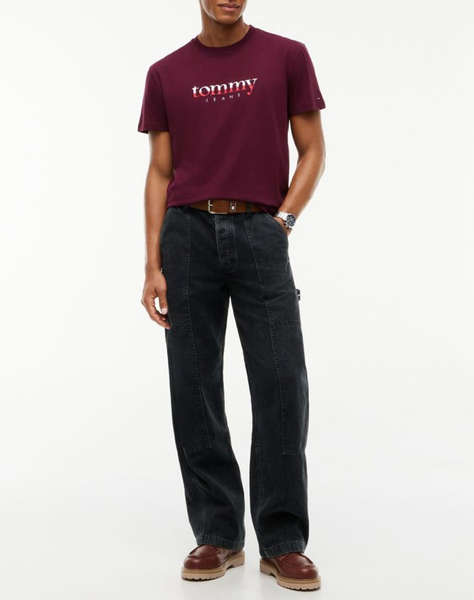 TOMMY JEANS TJM REG DNA TEE EXT