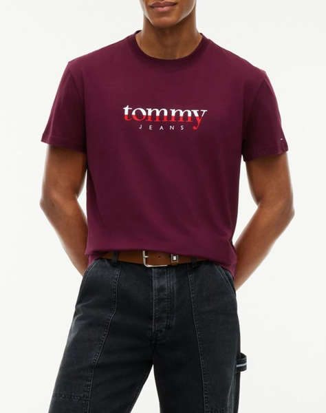 TOMMY JEANS TJM REG DNA TEE EXT