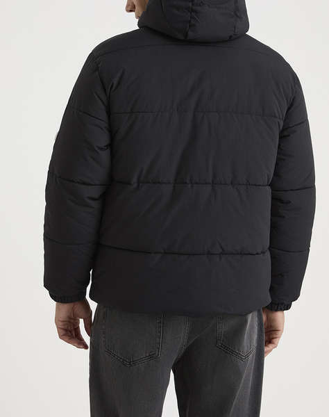 NAUTICA ЯКЕ FALUN PADDED Falun Padded Jacket