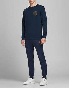 JACK&JONES JJIGORDON JJSHARK SWEAT PANTS AT NOOS