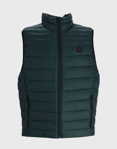 DarkGreen