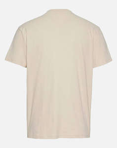 TOMMY JEANS TJM REG PAISLEY COLLEGE TEE EXT