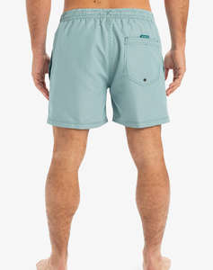 QUIKSILVER EVERYDAY DELUXE VOLLEY 15 MENS SWIMSUIT