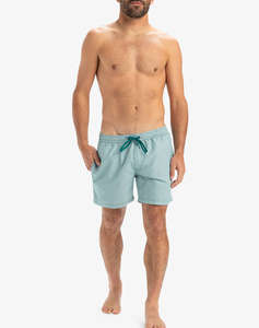 QUIKSILVER EVERYDAY DELUXE VOLLEY 15 MENS SWIMSUIT