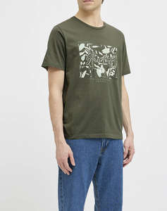DarkGreen
