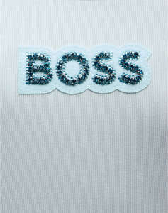 BOSS C_Ematite2_stonebadg 10270749 01