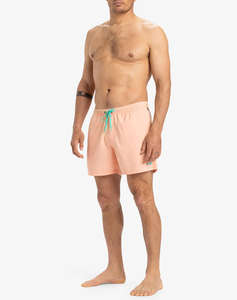 QUIKSILVER EVERYDAY SOLID VOLLEY 15 МЪЖКИ БАНСКИ