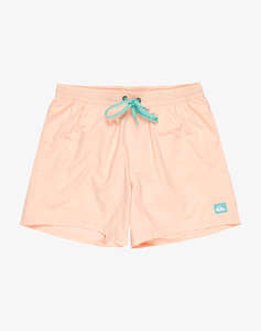 QUIKSILVER EVERYDAY SOLID VOLLEY 15 МЪЖКИ БАНСКИ